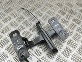 Tailgate/trunk/boot hinge