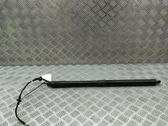 Tailgate/trunk strut/damper