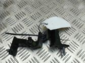 Juego de bisagras de la puerta trasera