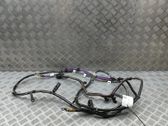 Other wiring loom