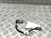 Negative earth cable (battery)