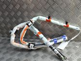 Roof airbag
