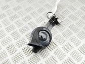 Signal sonore