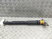 Rear shock absorber/damper