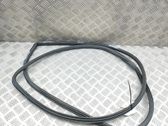 Gummidichtung Coupé-Tür