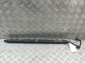 Tailgate/trunk strut/damper