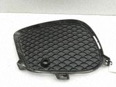 Atrapa chłodnicy / Grill