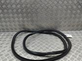 Rubber seal front coupe door