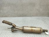 Filtro de partículas del catalizador/FAP/DPF