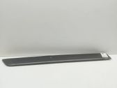 Rear door trim (molding)