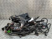 Other wiring loom