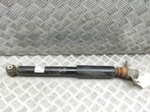 Stoßdämpfer hinten