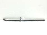 Windshield trim