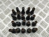 Nuts/bolts