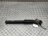 Stoßdämpfer hinten