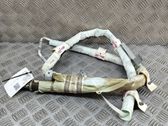 Надувная подушка для крыши