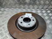 Front brake disc