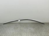 Roof trim bar molding cover