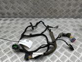 Other wiring loom