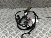Rear door wiring loom