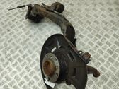Rear wheel hub