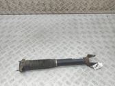 Rear shock absorber/damper
