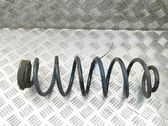 Muelle espiral trasero
