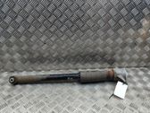 Stoßdämpfer hinten