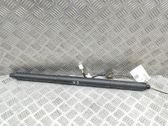 Tailgate/trunk strut/damper
