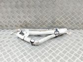 Roof airbag