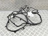 Other wiring loom