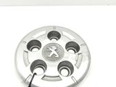 R20 wheel hub/cap/trim