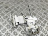 Rear door hinge set