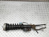 Front shock absorber/damper