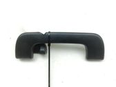 Rear interior roof grab handle