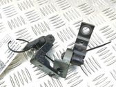 Front door hinges set