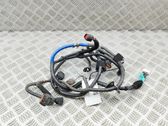 Cableado del sensor de aparcamiento (PDC)