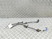 Cableado del sensor ABS trasero