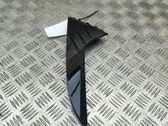 Moldura de la puerta trasera