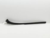 Windshield trim