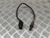 Sonde lambda