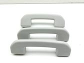 A set of handles for the ceiling