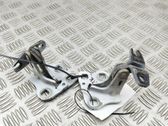 Front door hinges set