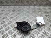 Signal sonore