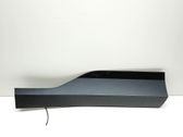 Listón embellecedor de la puerta delantera (moldura)