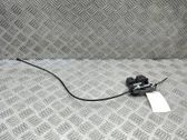 Reposacabezas del asiento trasero