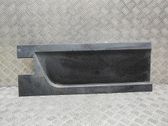 Listón embellecedor de la puerta delantera (moldura)