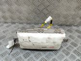 Beifahrerairbag