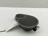 Panel speaker
