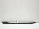 Windshield trim